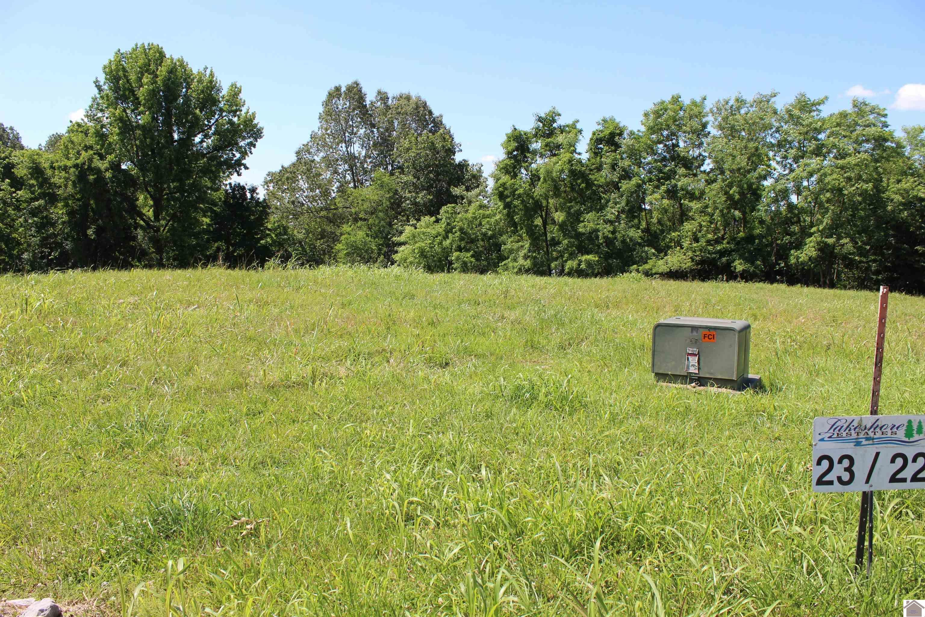 Image 1: Image 1