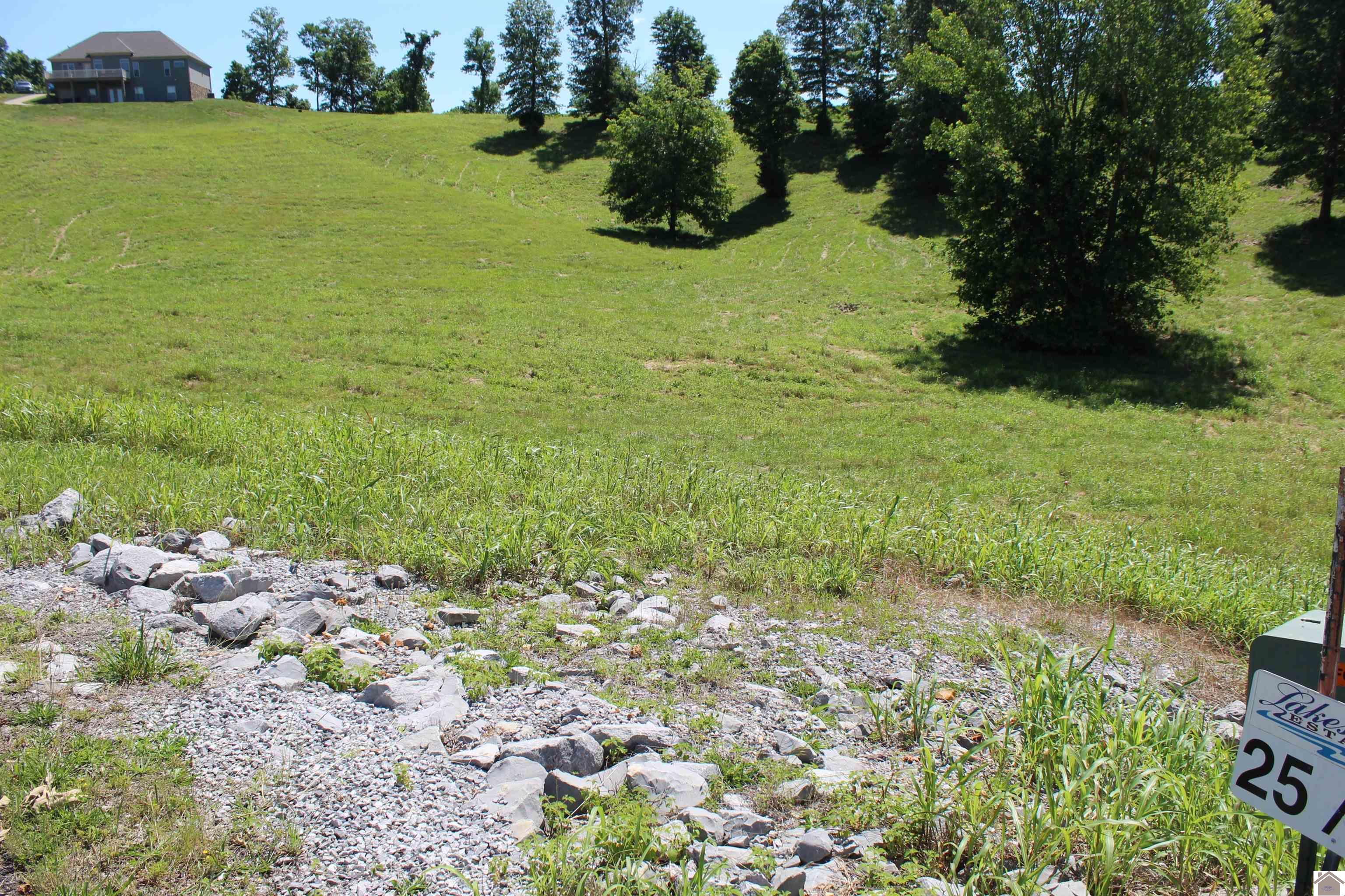 Image 1: Image 1