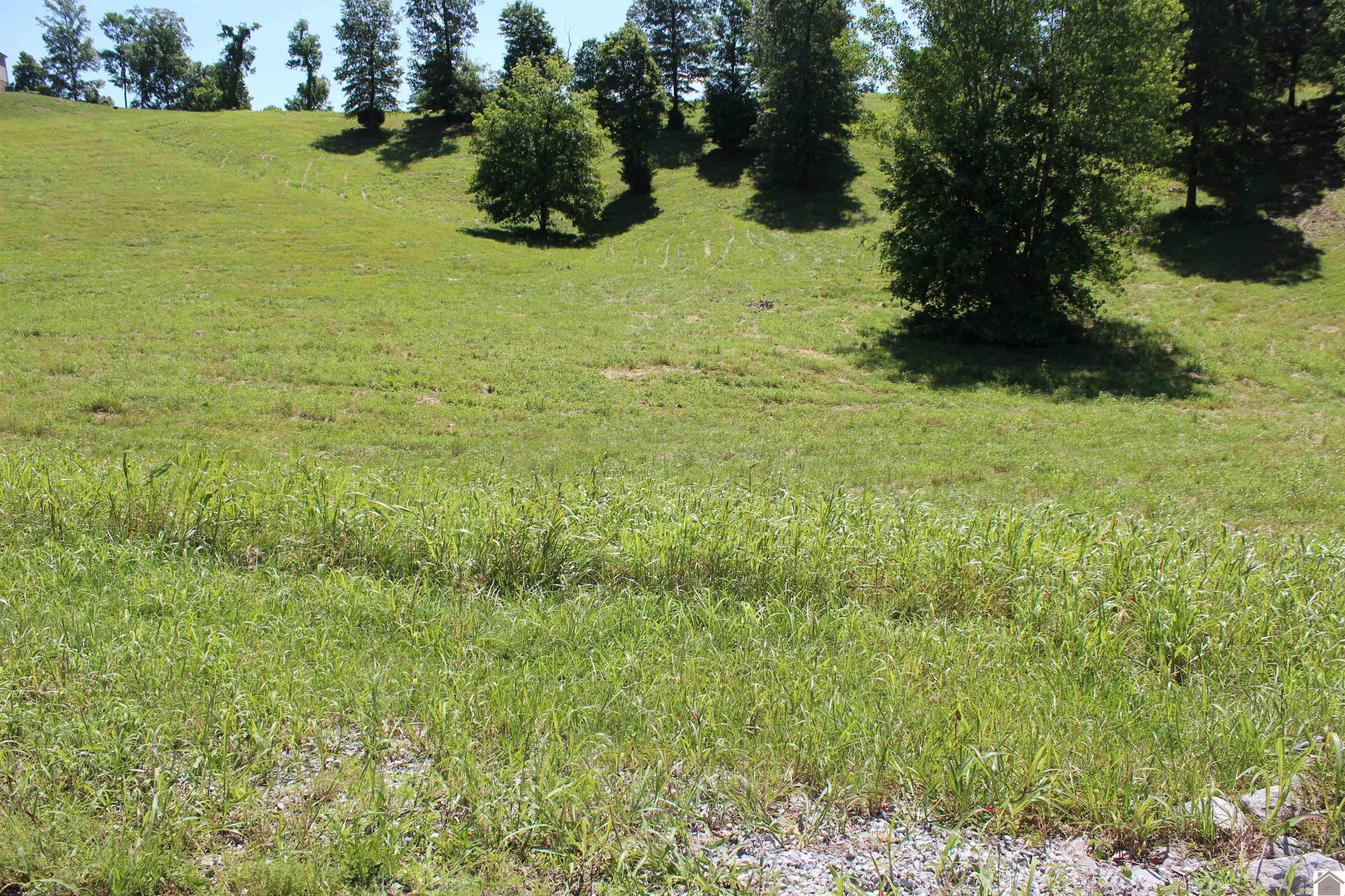Image 2: Image 2