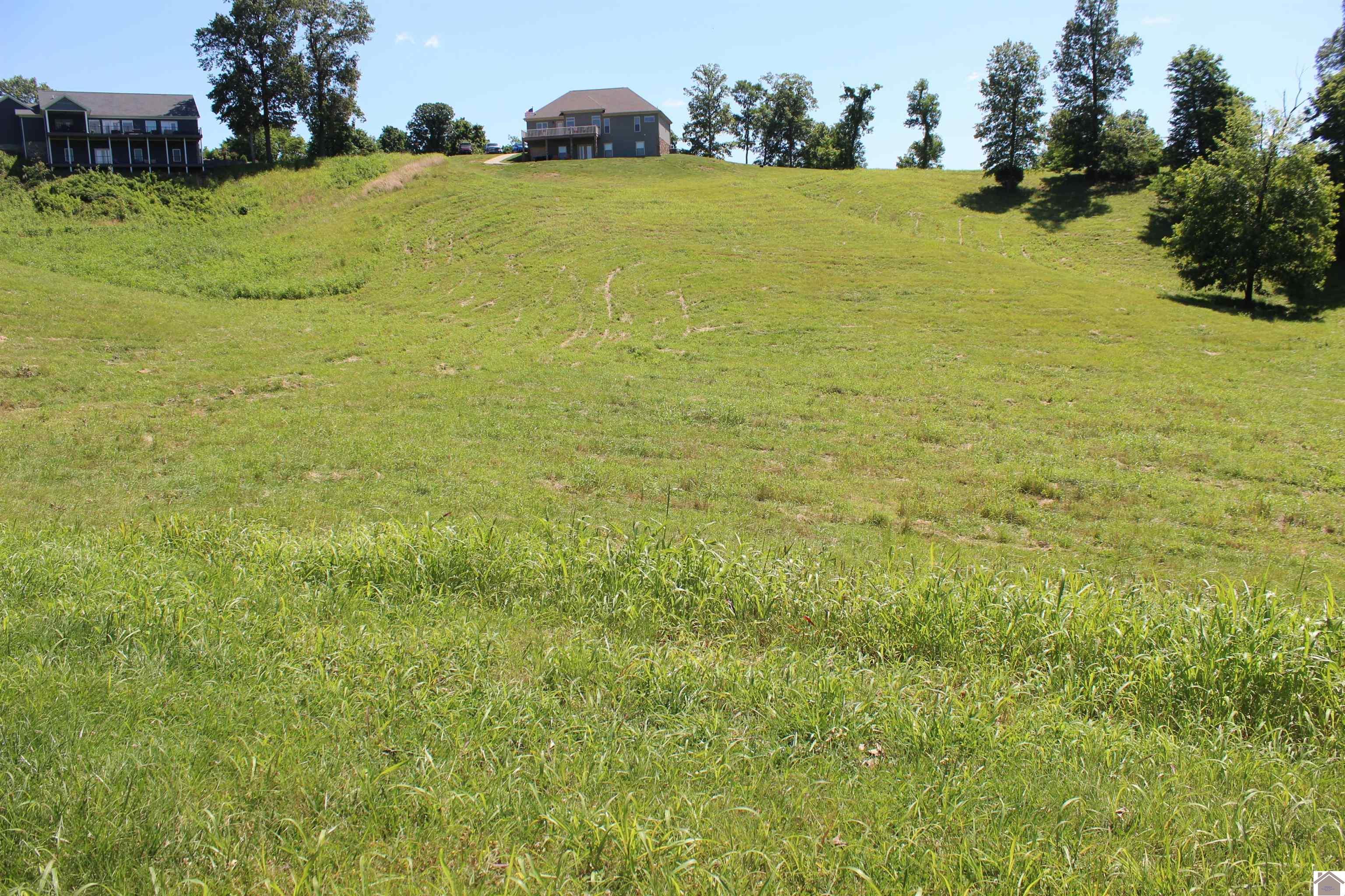 Image 2: Image 2