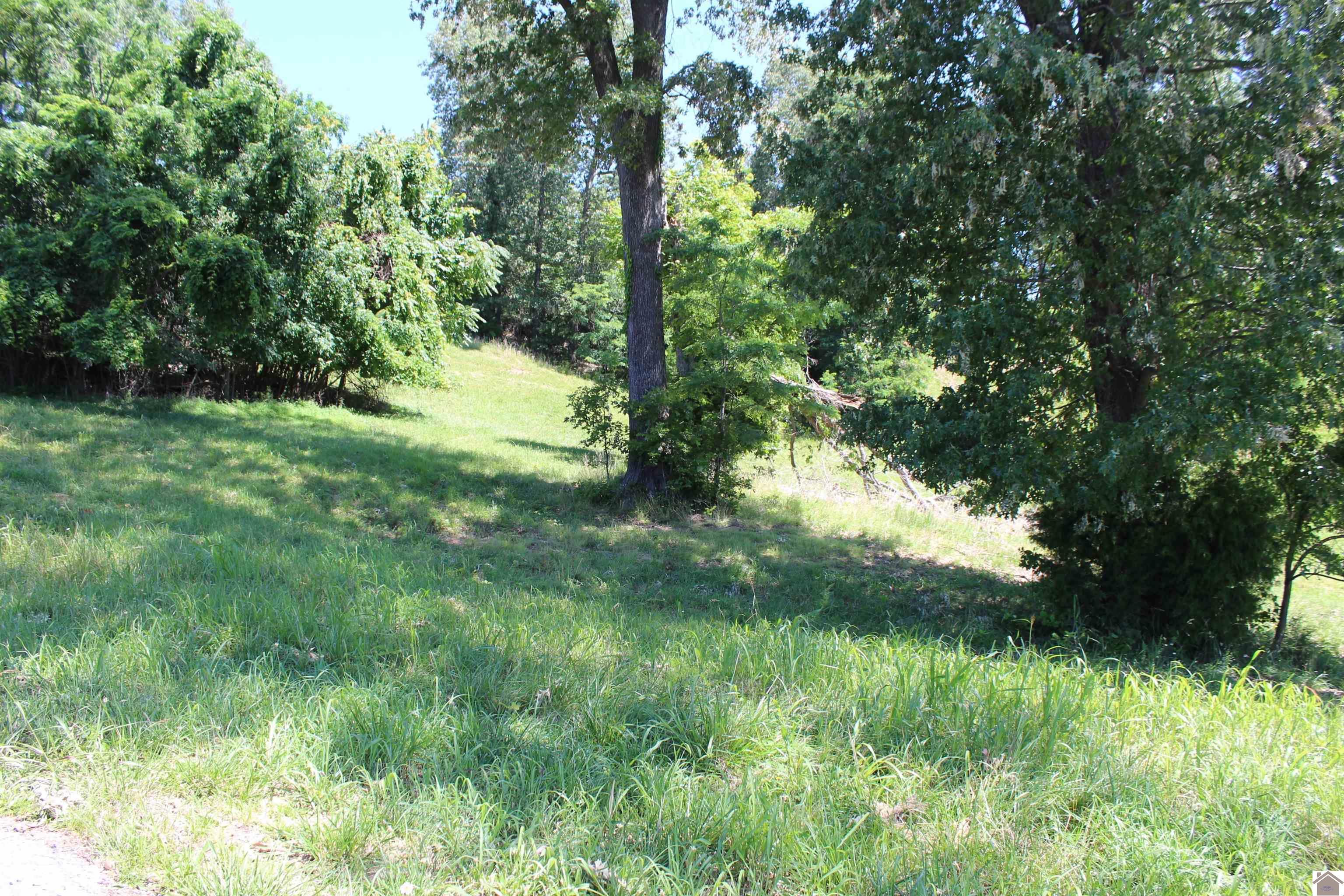 Image 2: Image 2