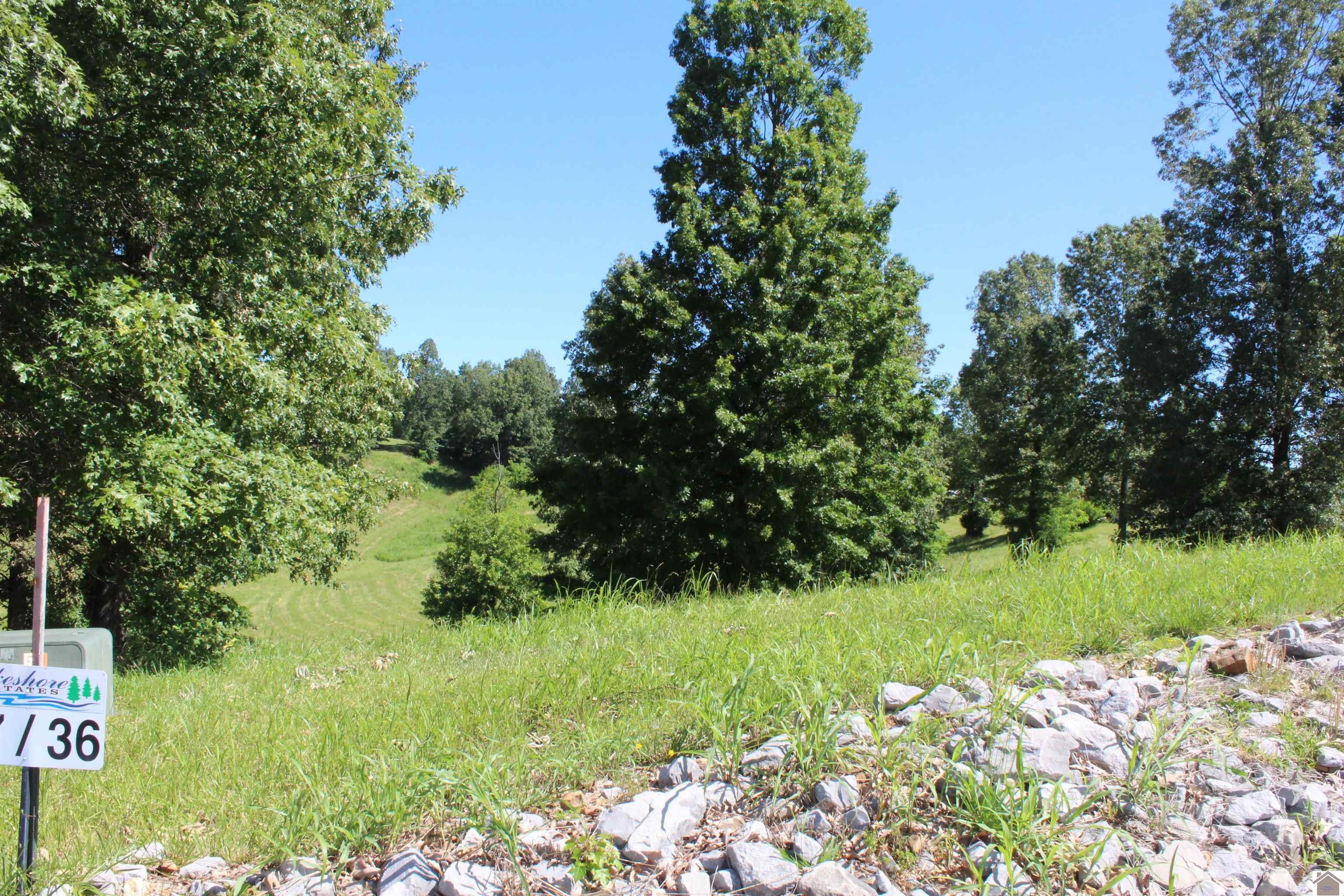 Image 1: Image 1