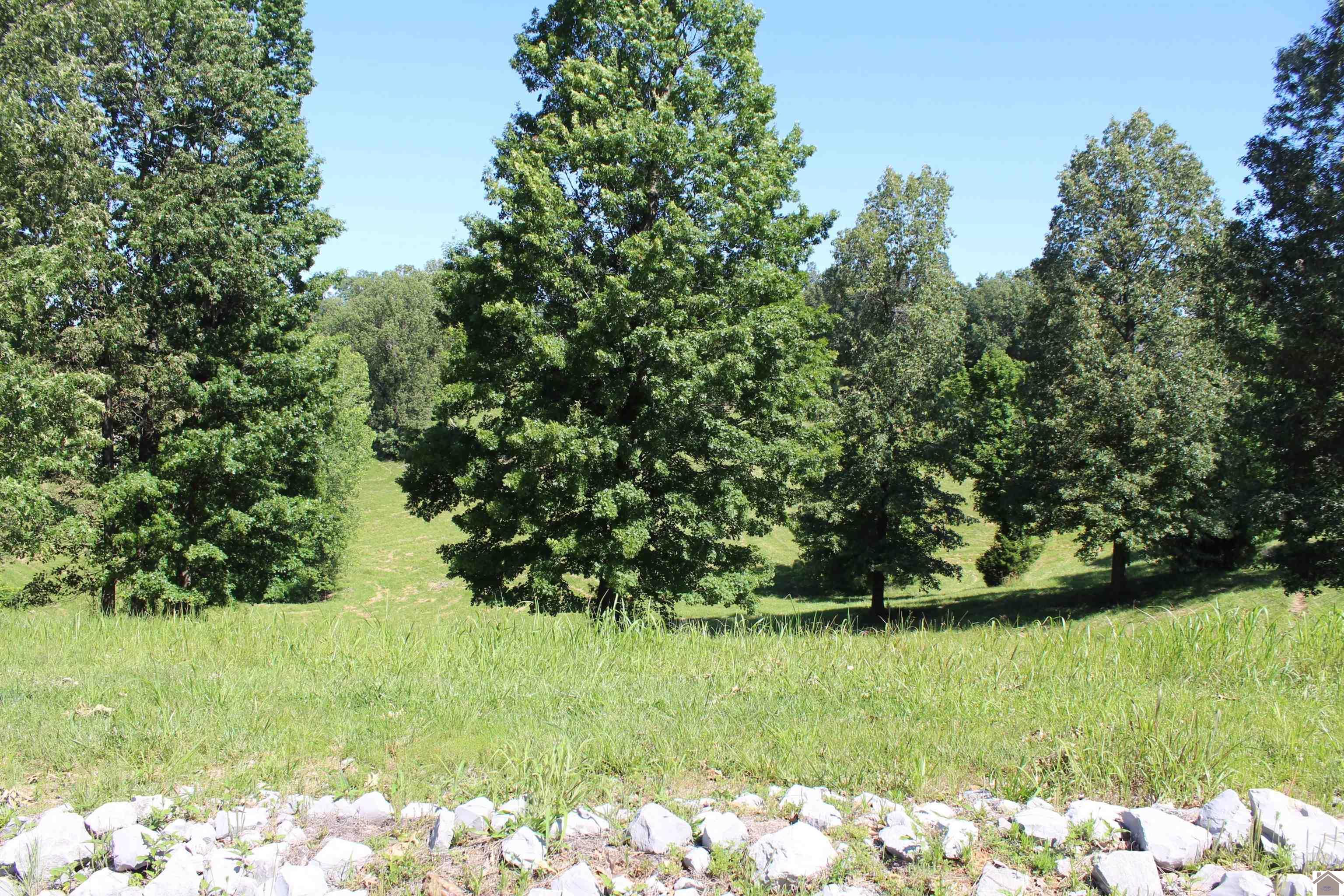 Image 2: Image 2