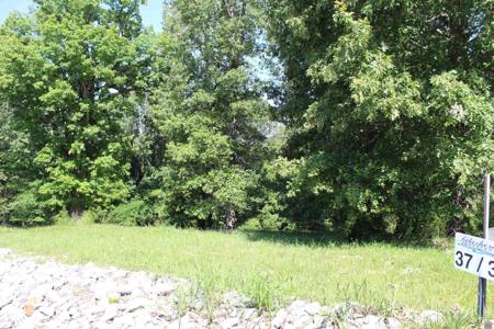 Lot 37 Oak View Lane