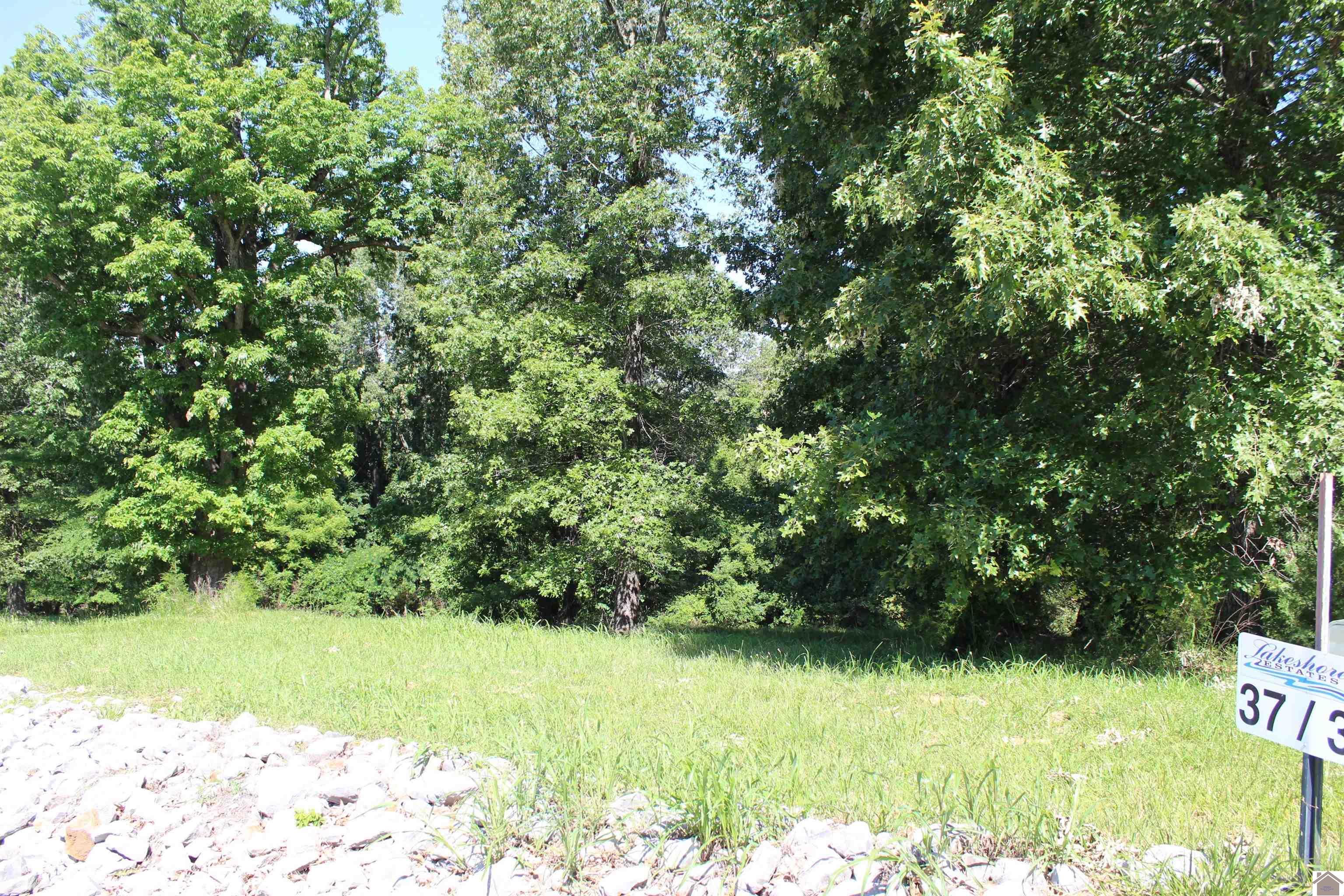 Image 1: Image 1