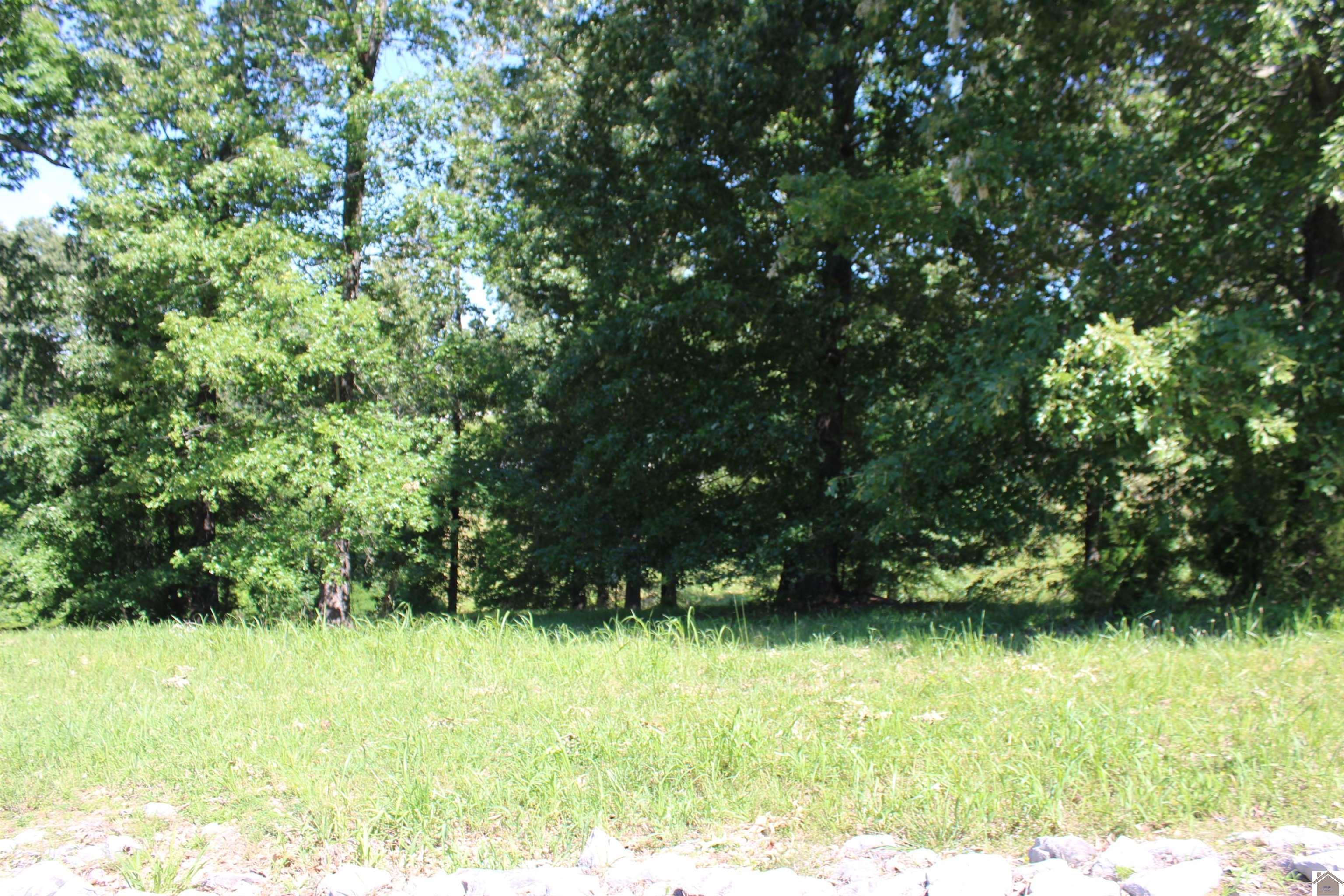 Image 2: Image 2