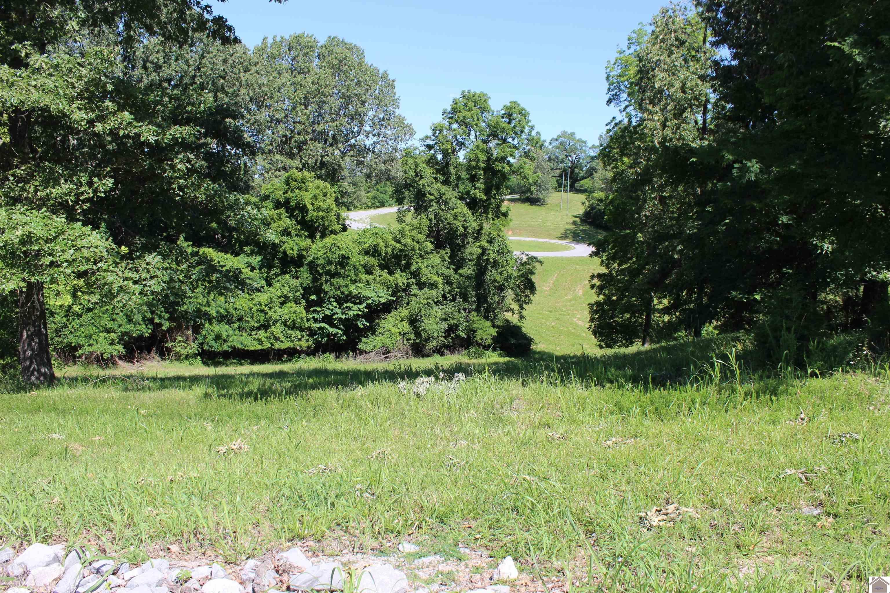 Image 2: Image 2