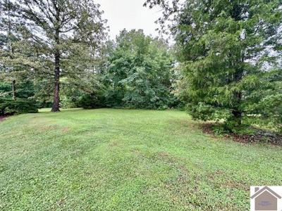 4 Lots on Vista Dr