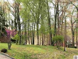 Lot 3 Magnolia Drive