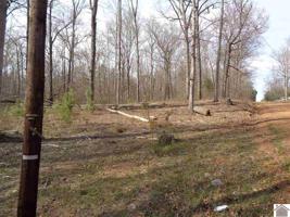 283 Long Drive(Lots # 283,284