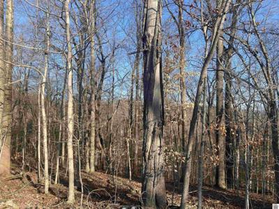 Lot 7 Woodland Hills