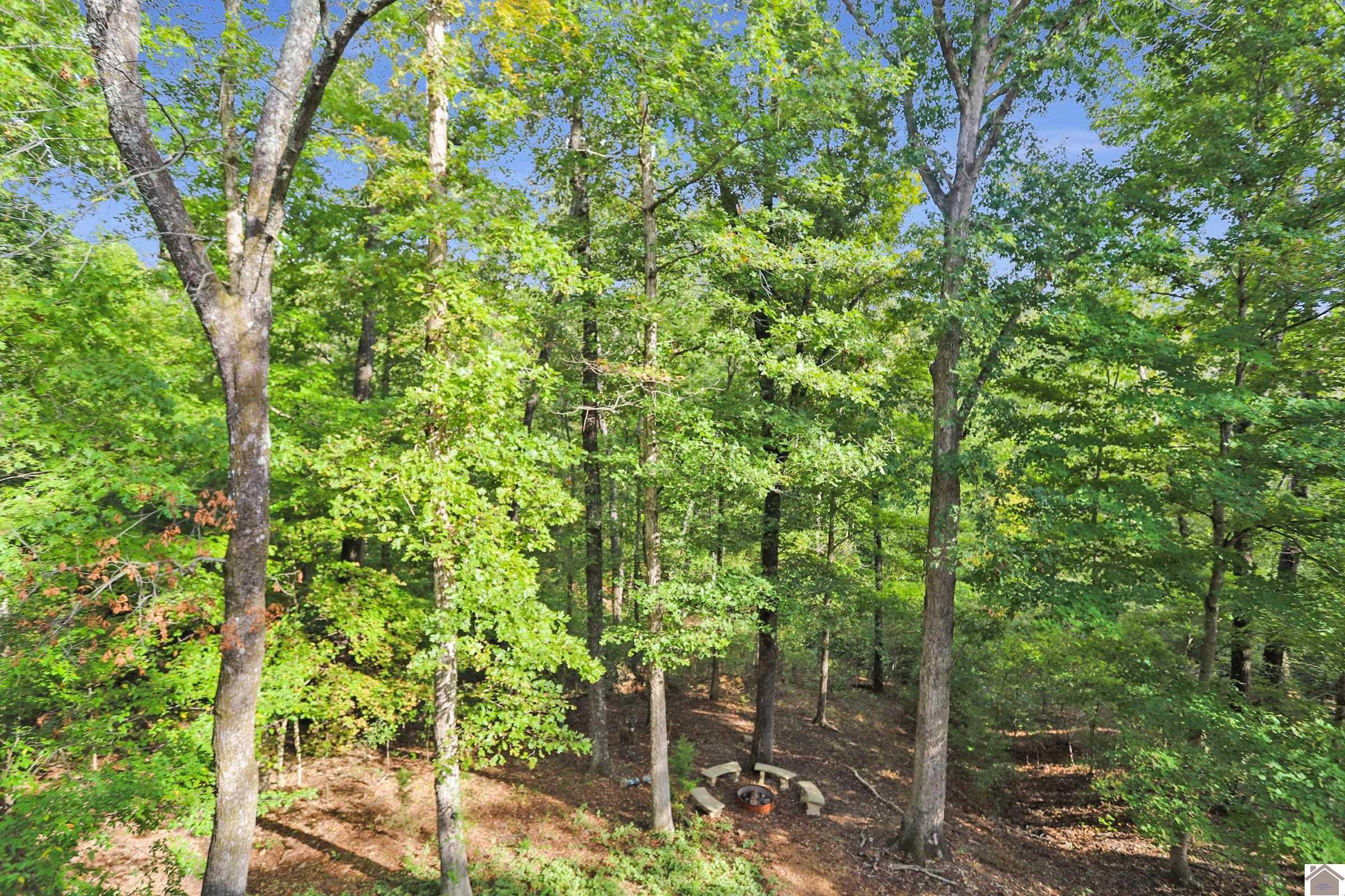 Image 4: Backyard