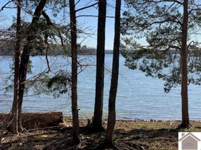 00 S Worthington Way Lot 19