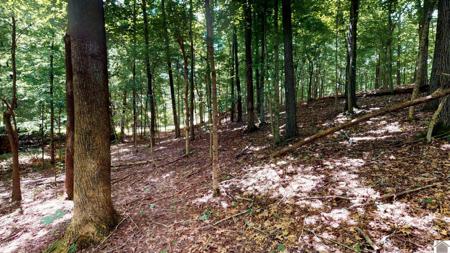 Champion Hills Lots 31,32,33