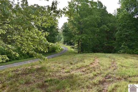 3 Lots Liberty Lane