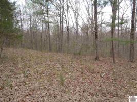 123 Bockman   (lot 965,966 and 977)