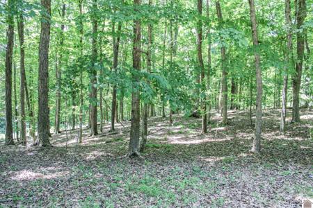 0 Indian Hills Trail