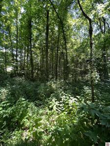 000 Maple Lane