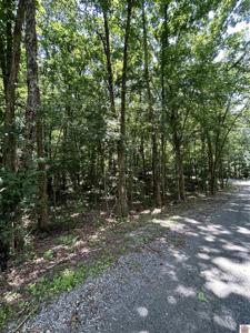 000 Cedar Lane