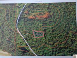 416 Wildcat Drive (Lt# 194)