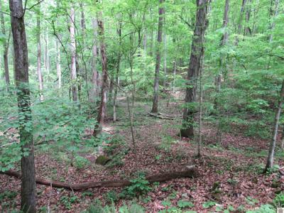Lot 11 Barkley Shores