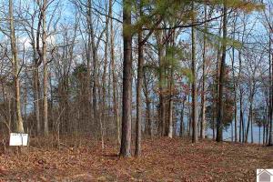 Lot 34 Wayne Circle