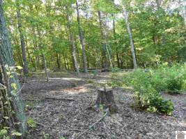 137 Meadowlark Drive