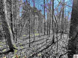 00 Creek Dr, Lot 435
