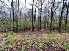 00 Fawnwood Drive, Lots 53-54