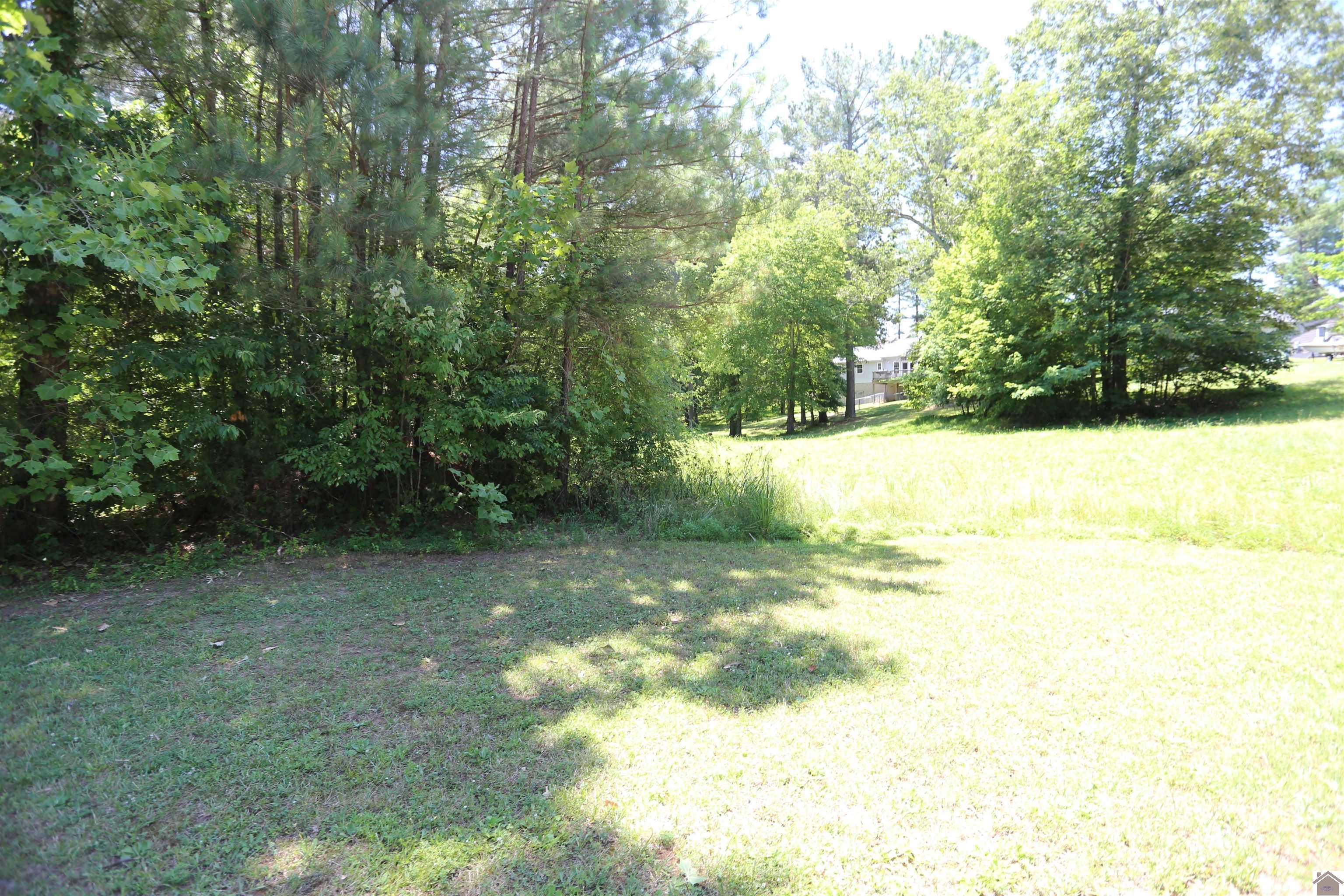 Image 1: Image 1
