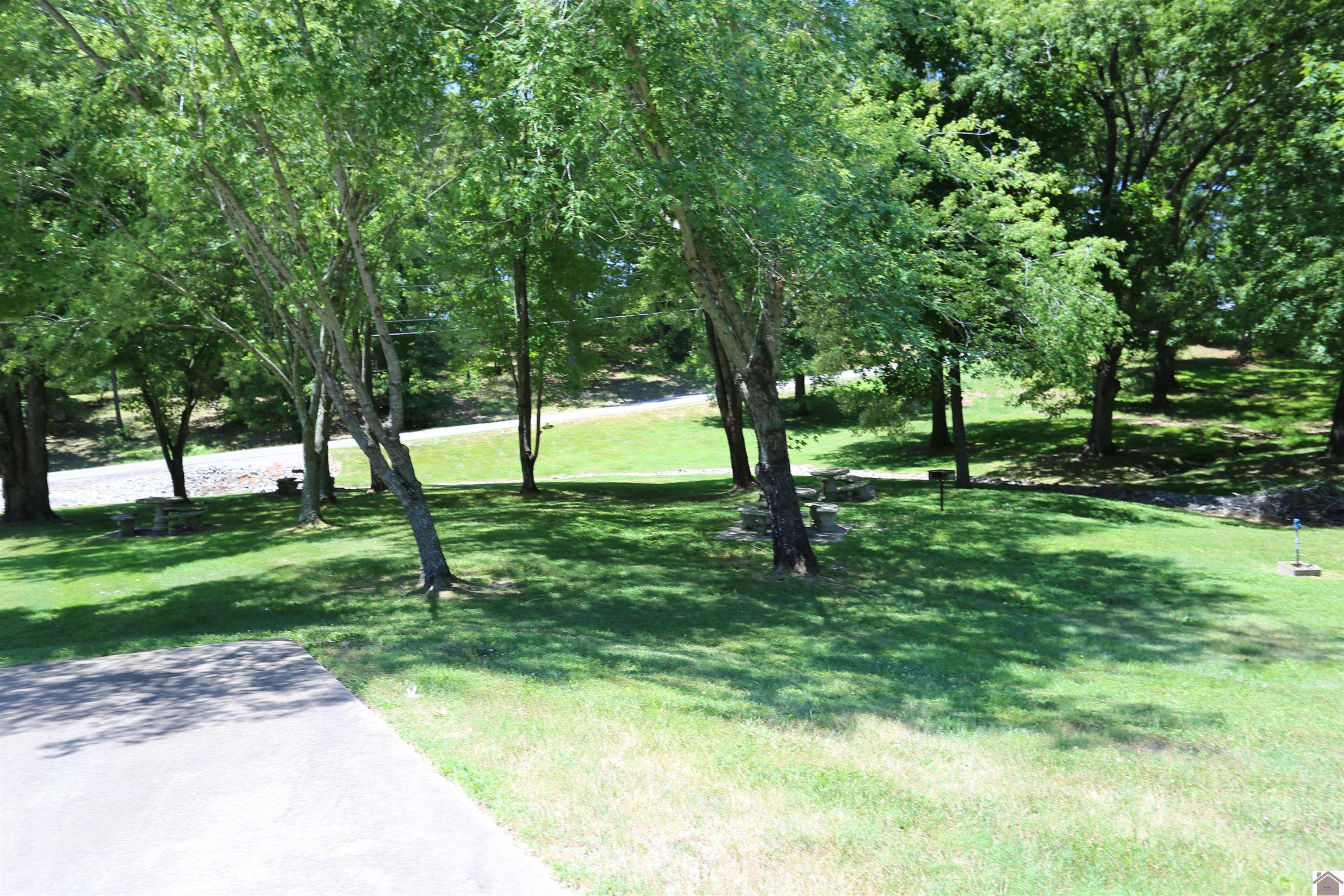 Image 2: Image 2