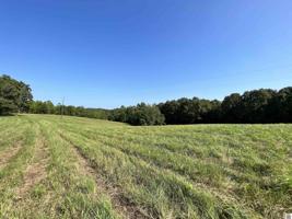 00 McDaniel Cemetery Road