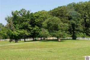 Lot 55.01 Malcolm's Point