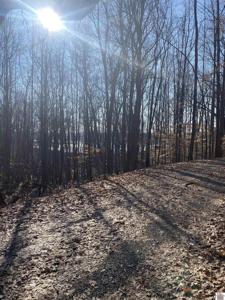 Lot 193 Woodland Hills