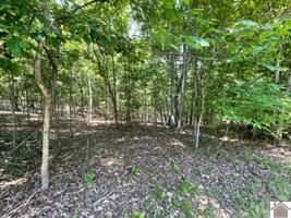 Lot 50 Malcolm's Point