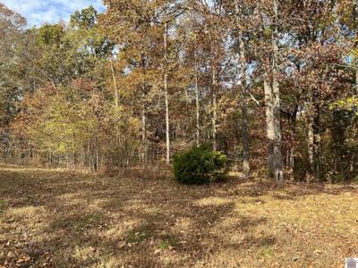Lot 24 Haynes Cemetery Road