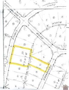 154 suwanee creek dr