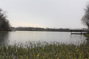 Lot 32 Summerfield Drive