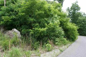 LOT E SLOVER TRIANGLE