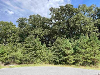 Lot 93 Streetland