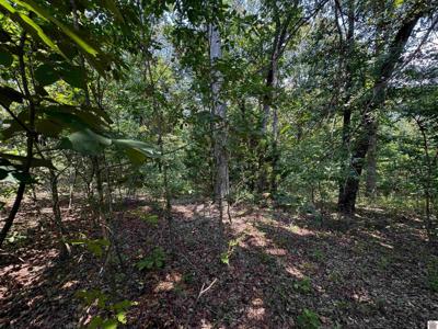 Lot 142 Trails End Ln