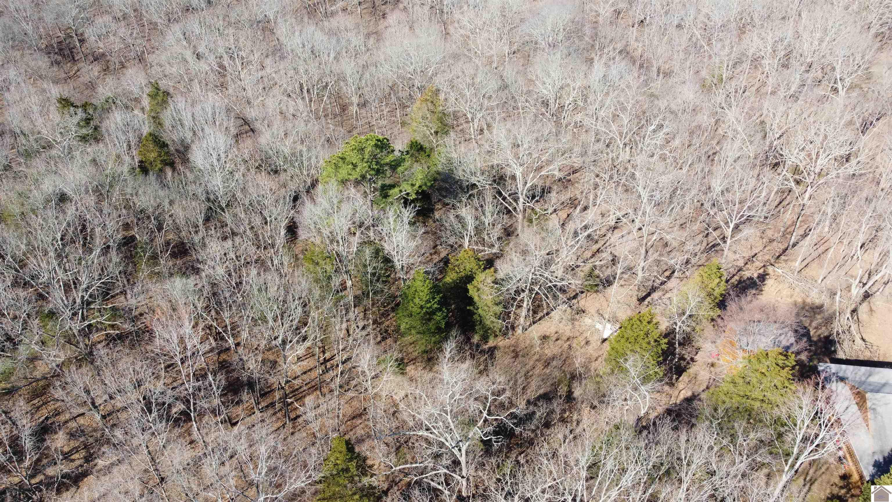 Image 3: Aerial View-no approximate