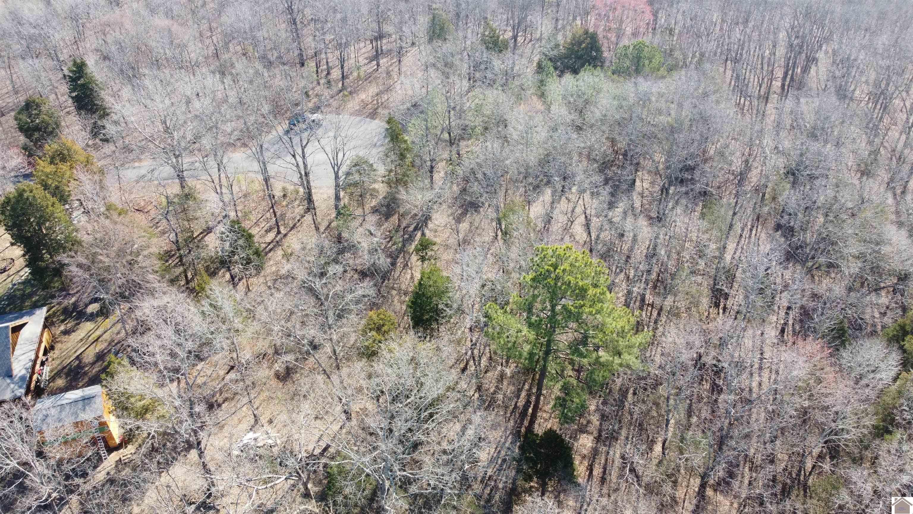 Image 4: Aerial View-no approximate