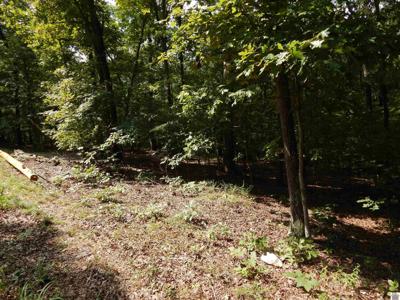 Lot 25 Imogene Dr