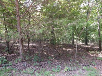 Lot 29 Imogene Dr