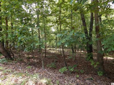 Lot 30 Imogene Dr