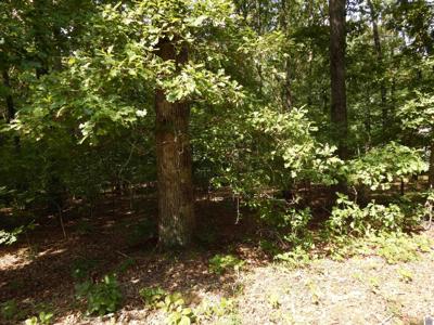 Lot 58 Imogene Dr