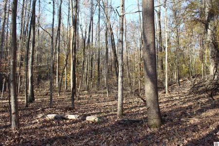 000 Parkersville Road