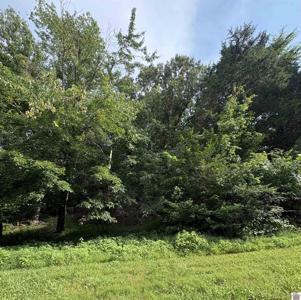 157 Deepwood Dr