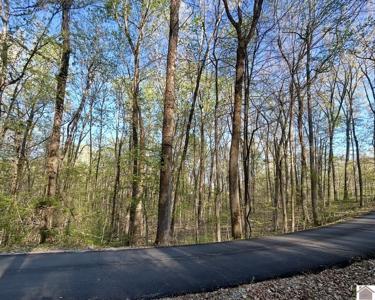 Lot 14E Commerce Landing Rd.